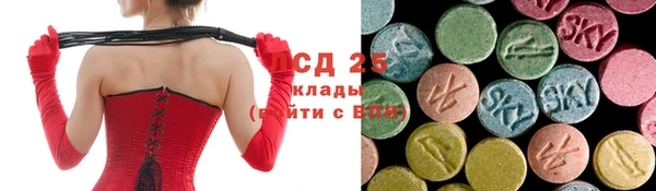 ешки Бородино
