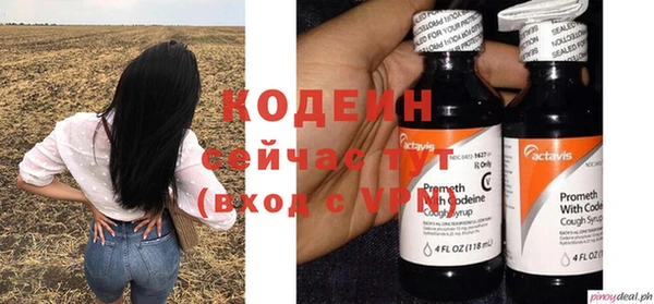 ешки Бородино