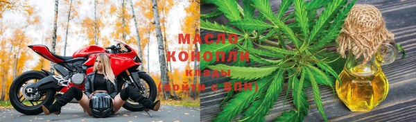 ешки Бородино